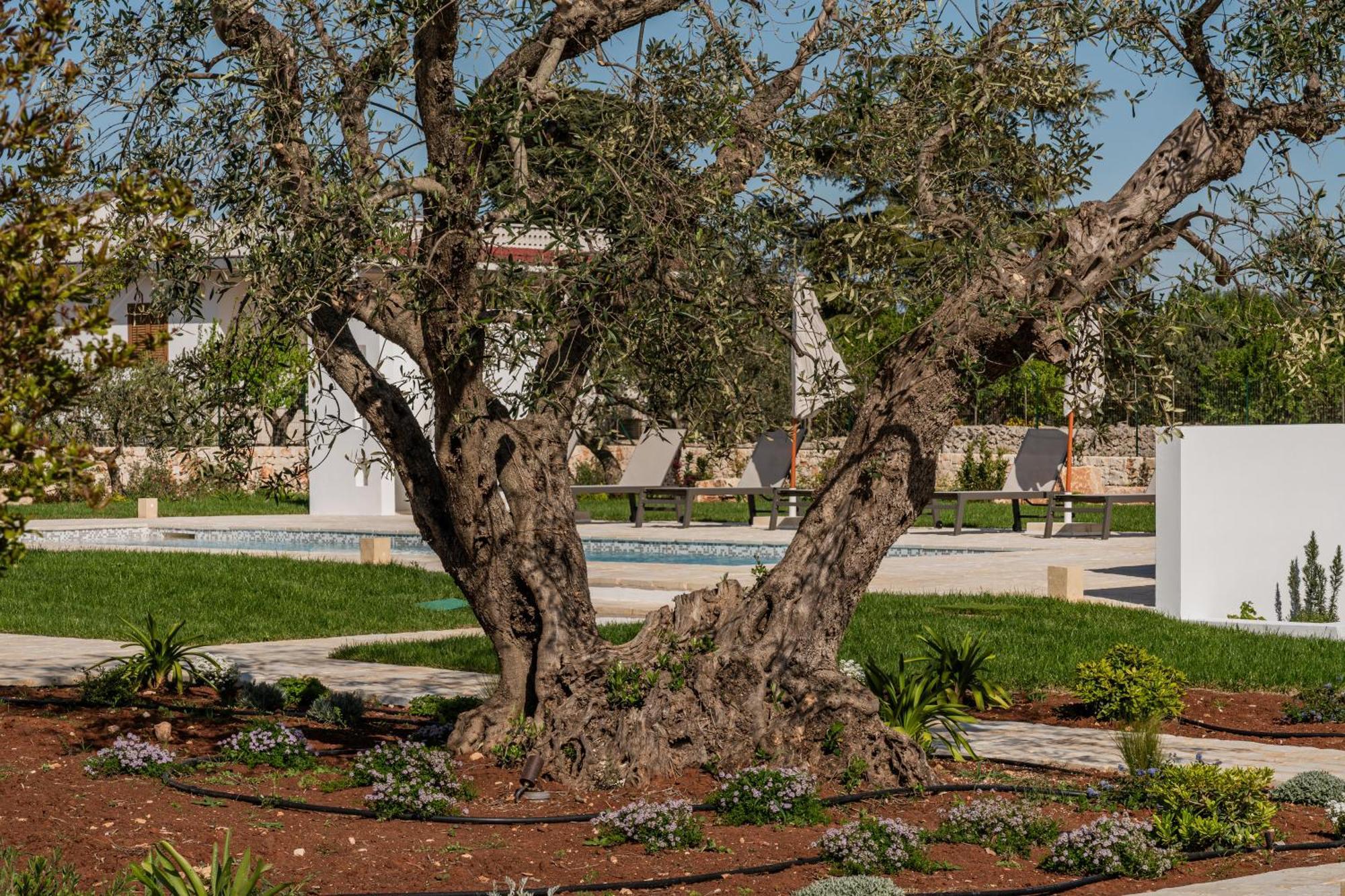 Trullo Jale - Boutique Apartments Ostuni Exteriör bild